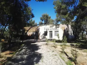 Dibbeen Forest Reserve