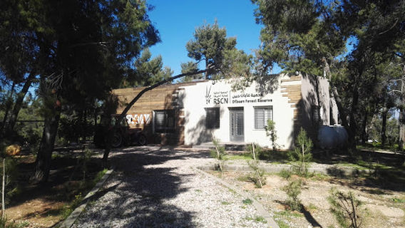 Dibbeen Forest Reserve