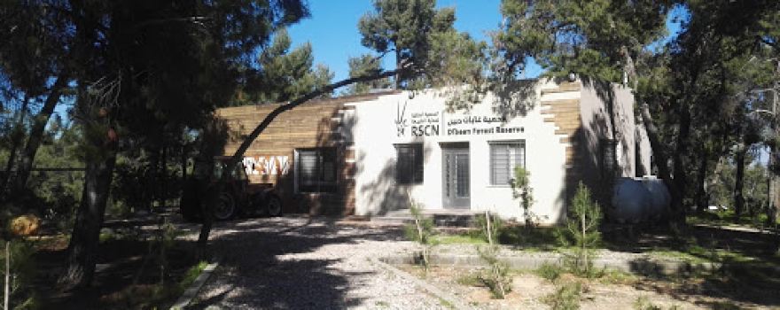Dibbeen Forest Reserve