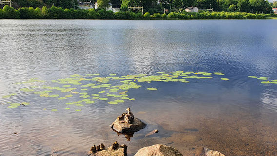 Floda