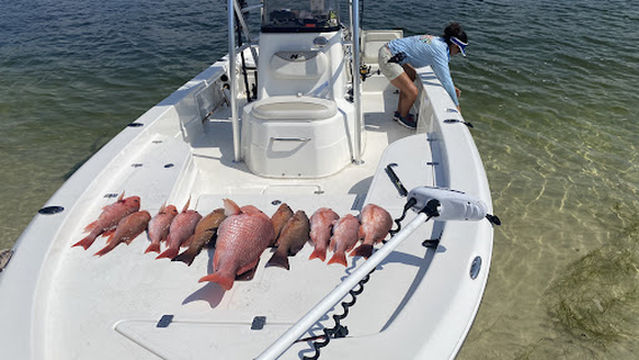 Lions Tale Adventures