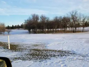 Bottineau Country Club