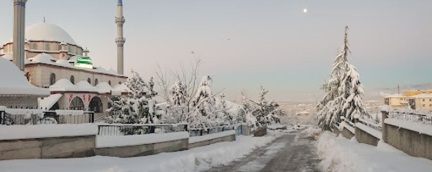 Tevhit Cami
