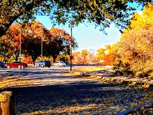 O J Watson Park