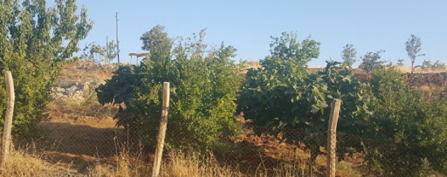Vali Konağı