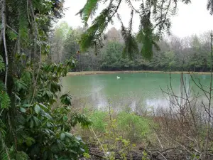 Woodland Park Campground