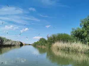 Canalul Dunavăţ