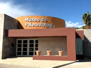 Paleontological Museum Múzquiz