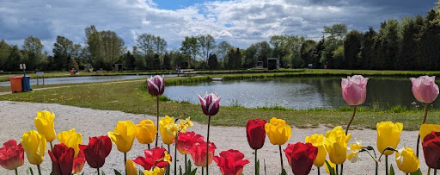 The trout fishponds Woldstek