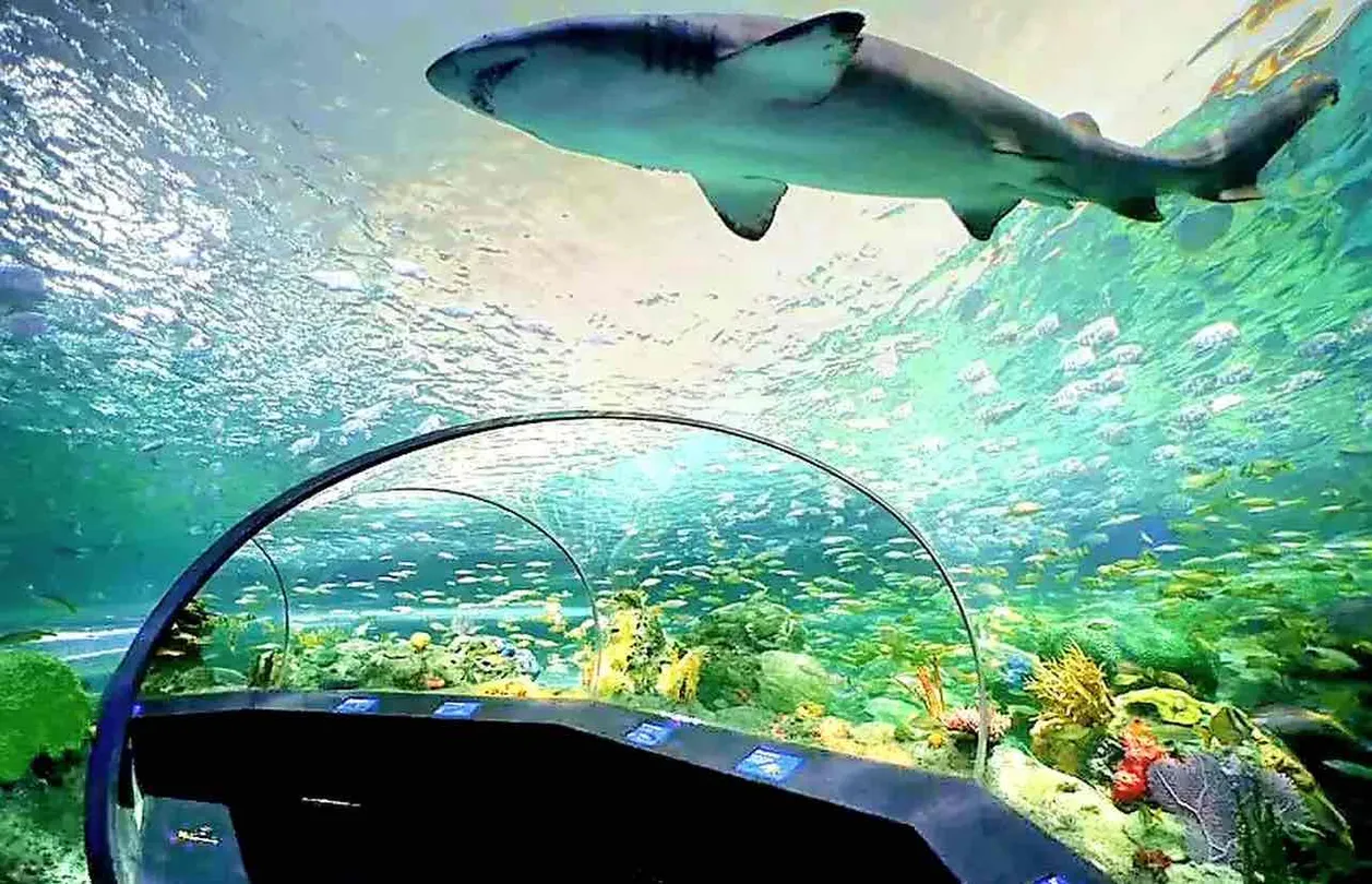 5_Ripley's Aquarium of Canada