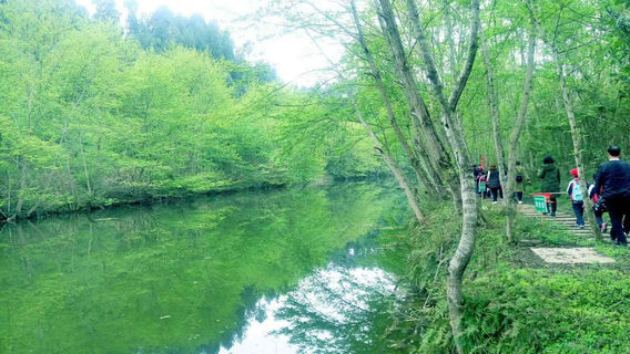 guo jia sen lin gong yuan yu dai xia jing qu