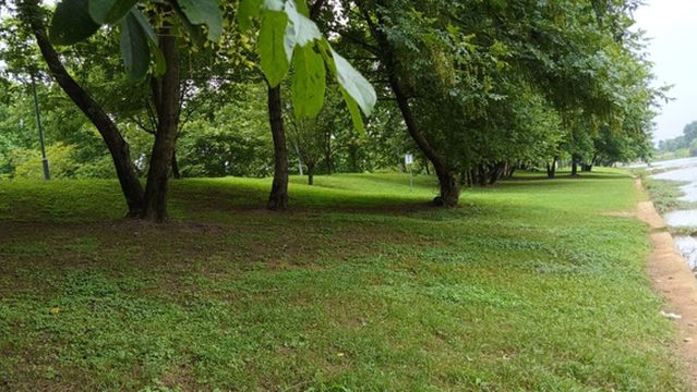 Jinshaxi Wetland Park