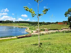 Mátria Parque de Flores