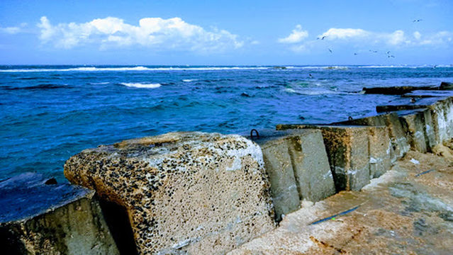 Beach Hotel Rose Asafra