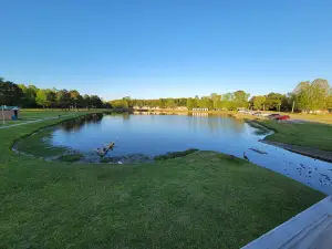 Cabot Community Pond