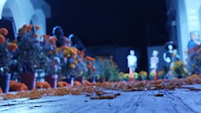 Centro Cultural Ricardo Flores Magón Y Casa De Día