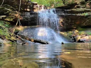 Franklin State Forest