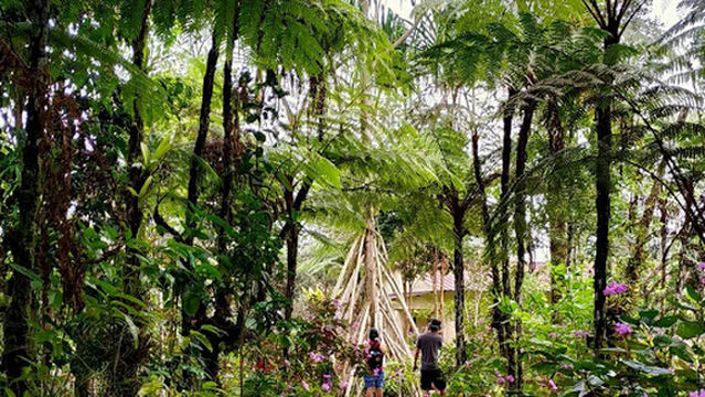 Jardim Botânico do Bom Sucesso