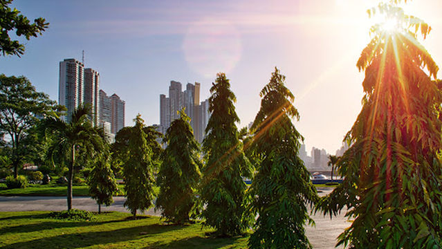 Panama Yacht & Fishing Club