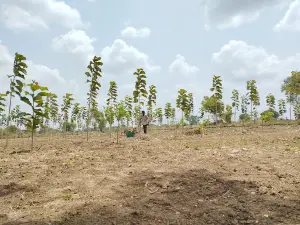 Dhiraj Bhau Farmhouse