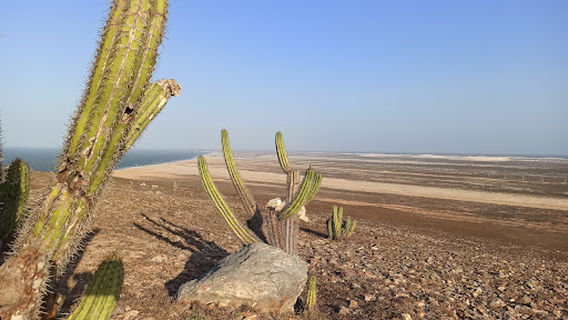 Jericoacoara Lighthouse