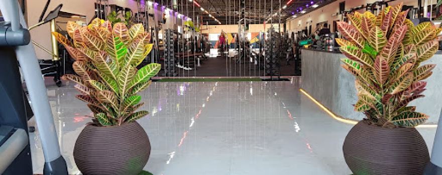 Squadra Fitness