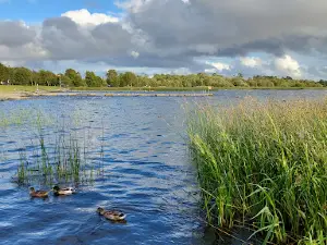 Portumna Swimming Area