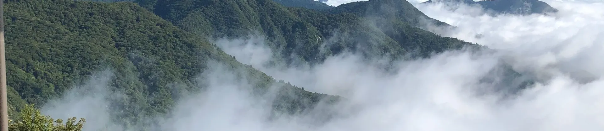 추천 관광명소