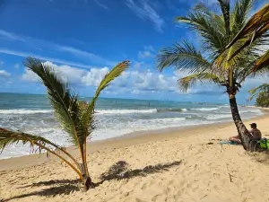 Coqueiros Beach
