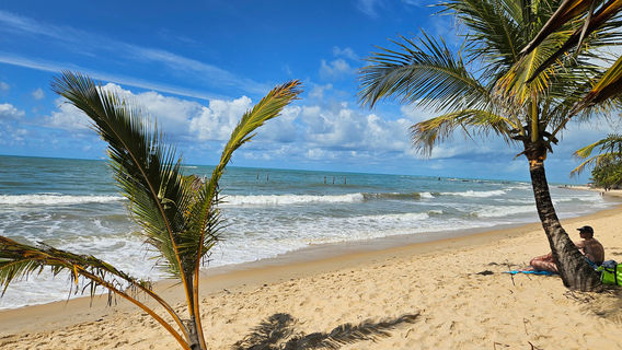 Coqueiros Beach