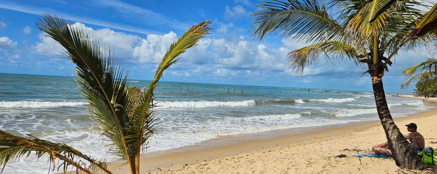 Coqueiros Beach