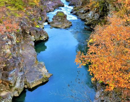 一關市 自由行套票