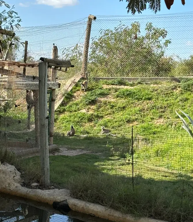 Bouficha