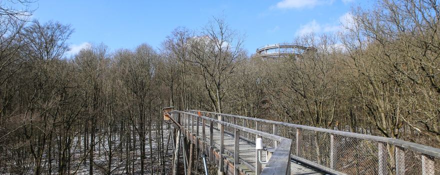 Ebracher Forst