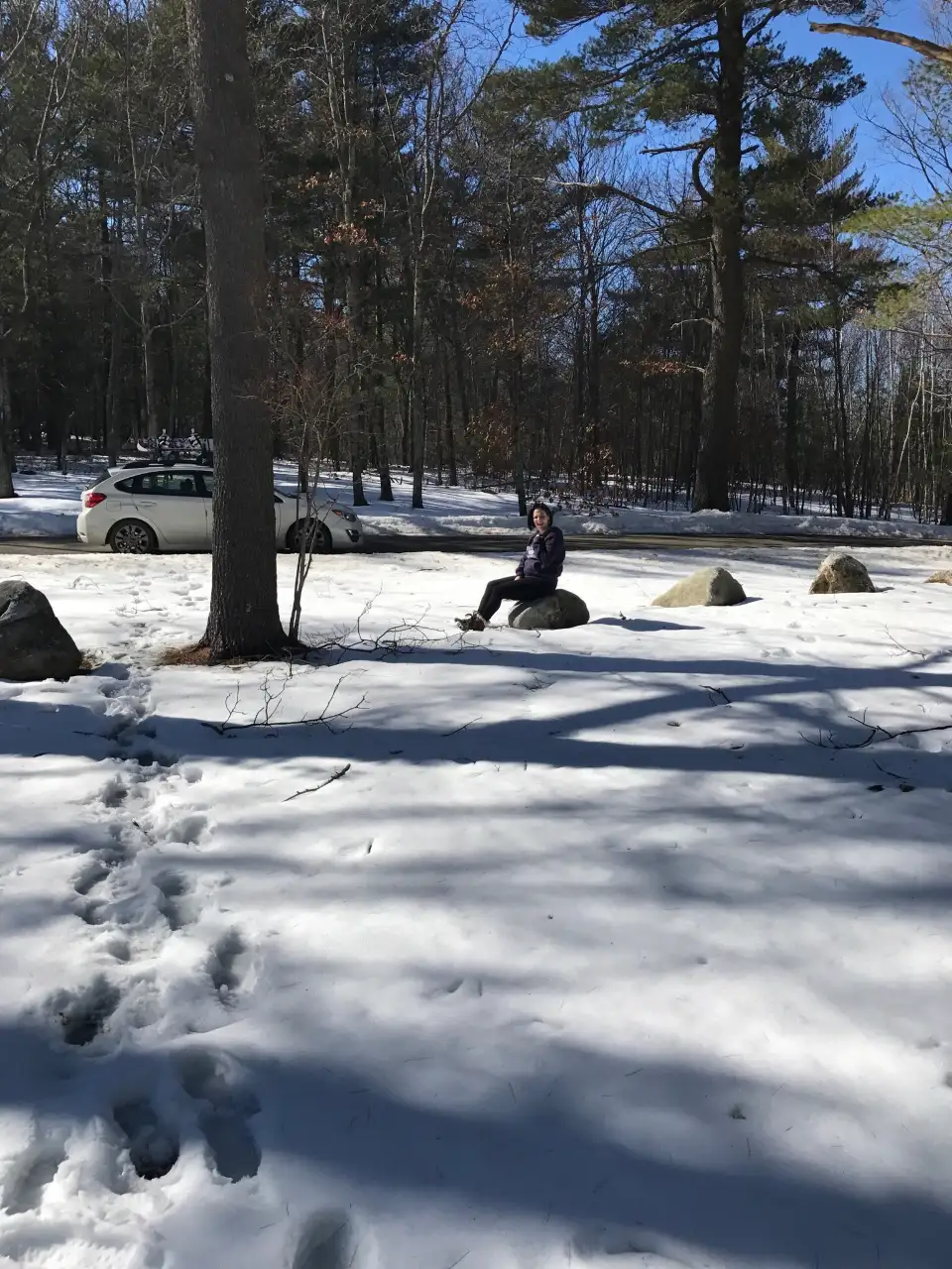 5_Mohawk State Forest