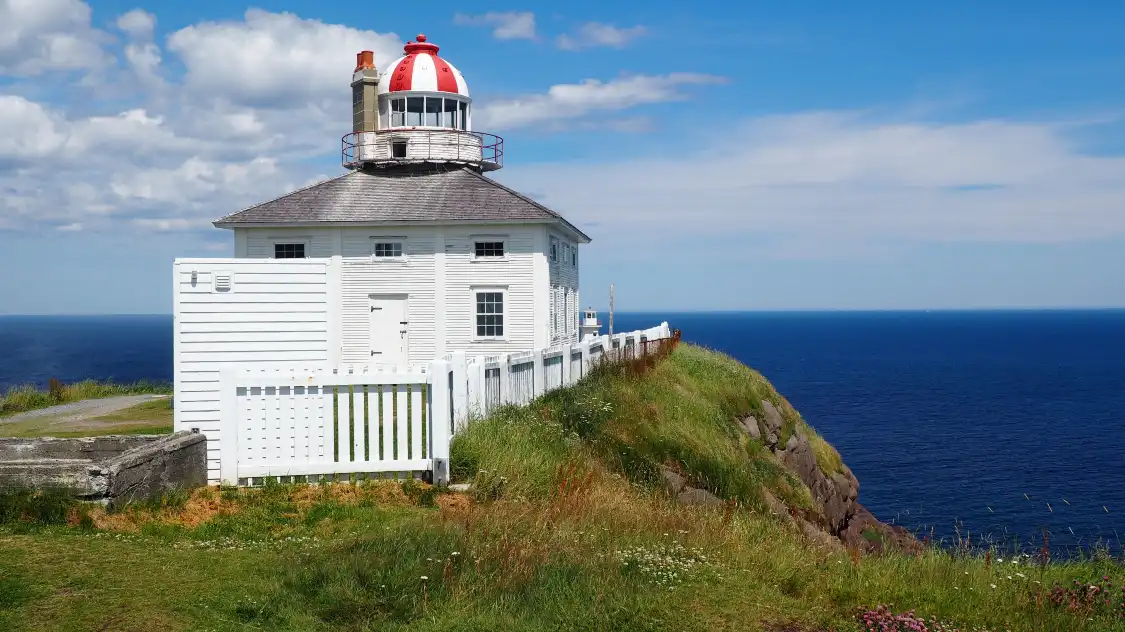 Hotel in zona Cape Spear Lighthouse