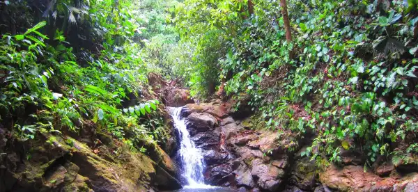 Manuel Antonio