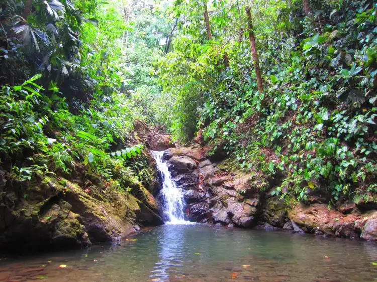 Hotels in Manuel Antonio