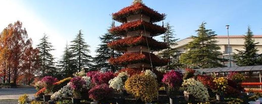 Kyoto Tamba Park