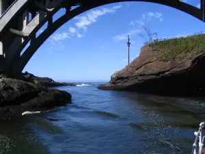 Dockside Charters and Whale Watching Tours