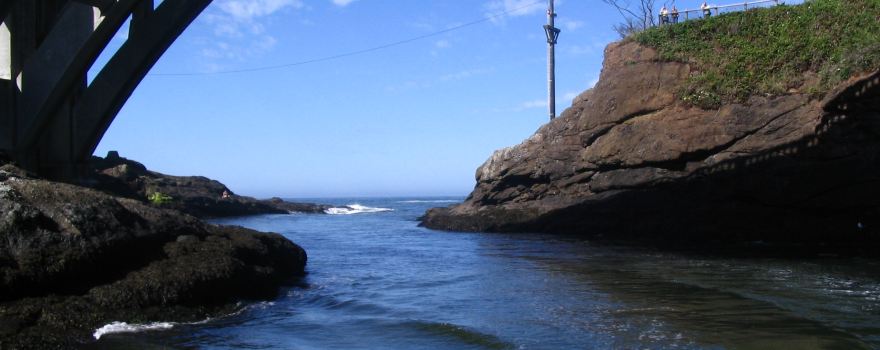 Dockside Charters and Whale Watching Tours