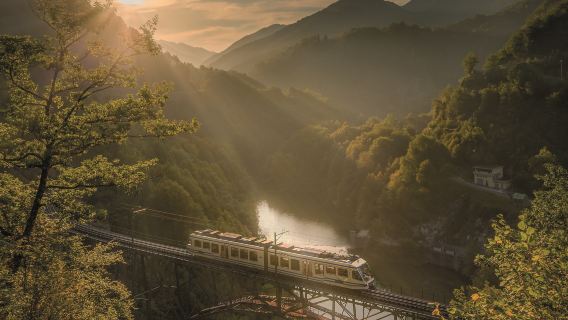 Vigezzina-Centovalli Railway