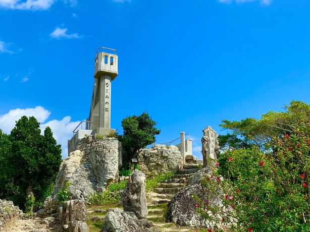 Nagomi Tower