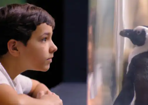 réductions sur les billets de Death Rock, prix et frais, réservations ...