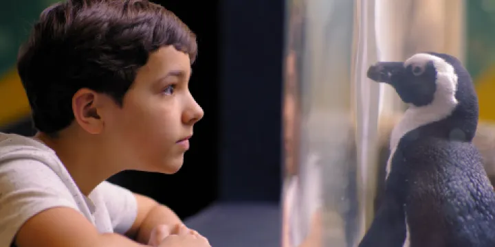 Ripley's Aquarium of the Smokies