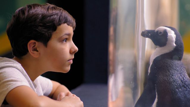 Ripley's Aquarium of the Smokies