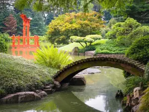 Heller Garden