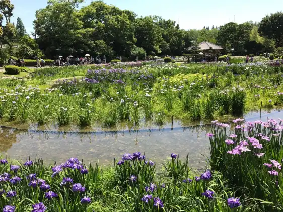 โรงแรมใกล้สวนชิโรคิตะ