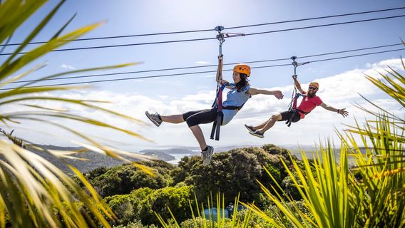 Waiheke Island