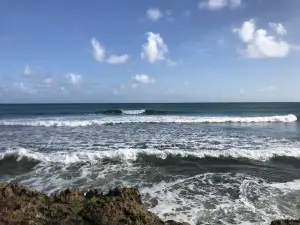 Ride The Tide Surf School
